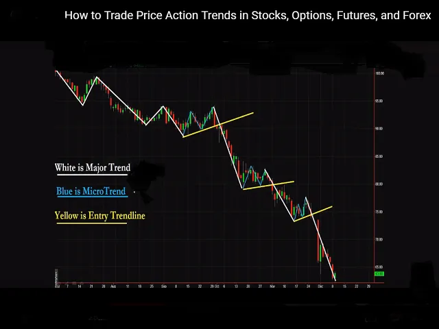 Micro Trend Breakouts