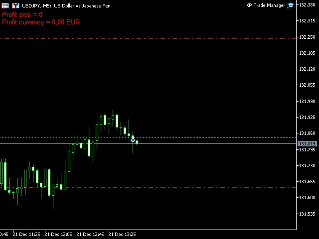 MT5에서 거래를 간편하게! XP Forex Trade Manager 활용법