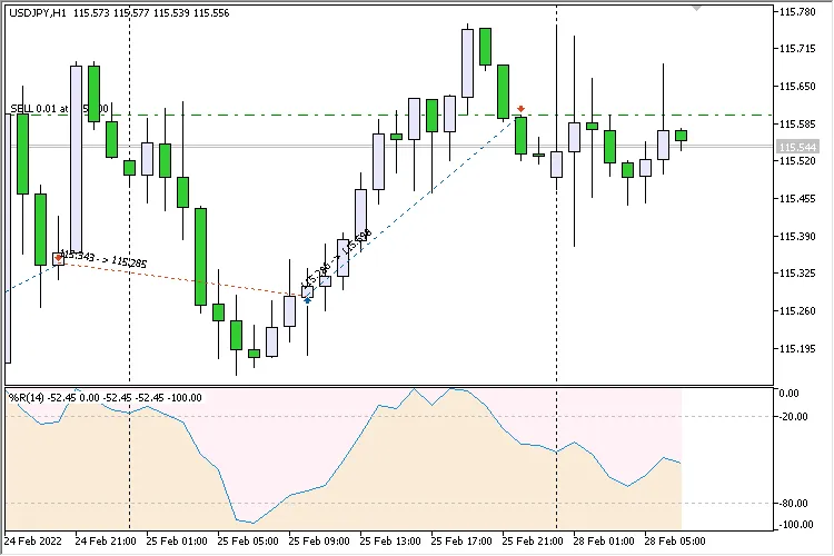 WPR 커스텀 클라우드 심플 - 메타트레이더 5를 위한 EA