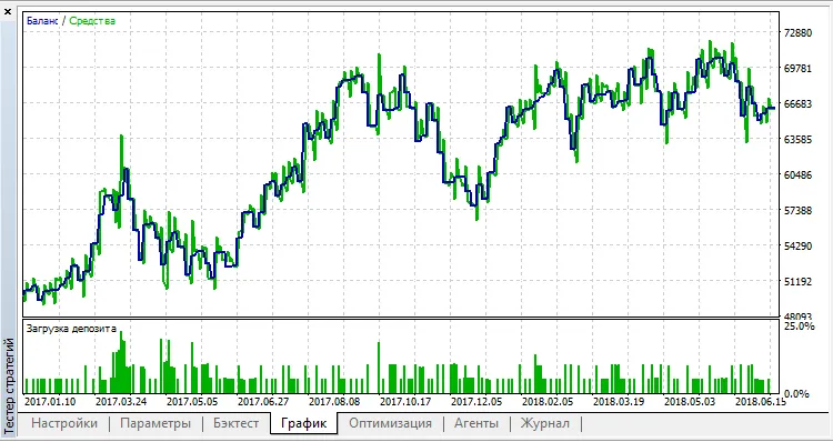 전문가 이치모쿠