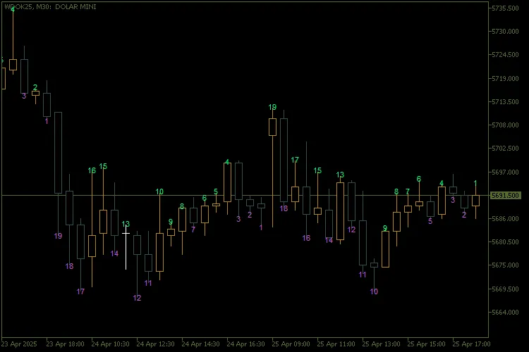메타트레이더 5를 위한 캔들 카운터 인디케이터 소개