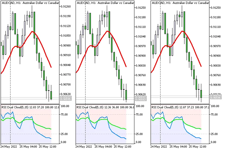 RSI 듀얼 클라우드