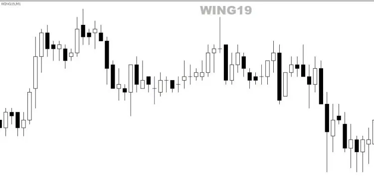 Latar Belakang Putih