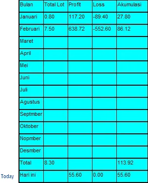 메타트레이더 4의 잔고 시트 지표
