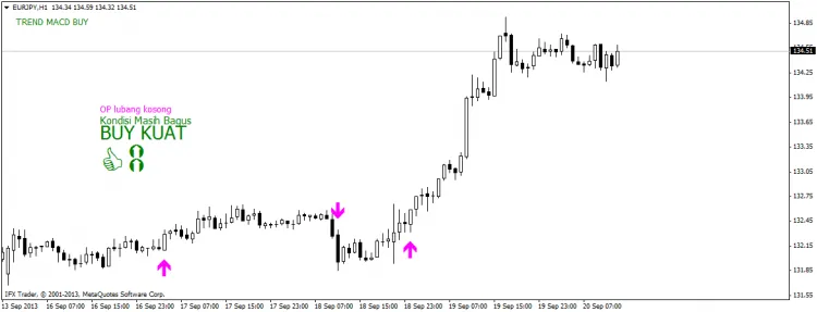 How to Trade with the STOCH and RSI Indicators on MetaTrader 4